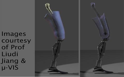 Credit Prof Liudi Jiang